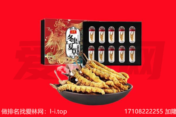 西安回收虫草.jpg
